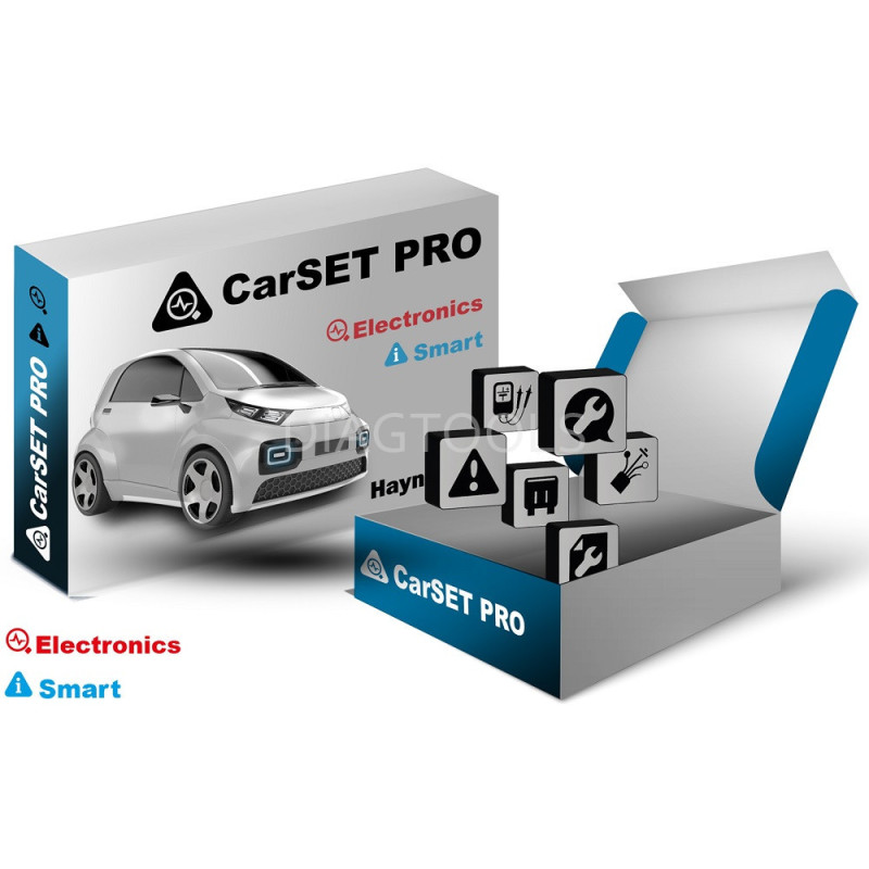 Launch Carset Database Haynespro